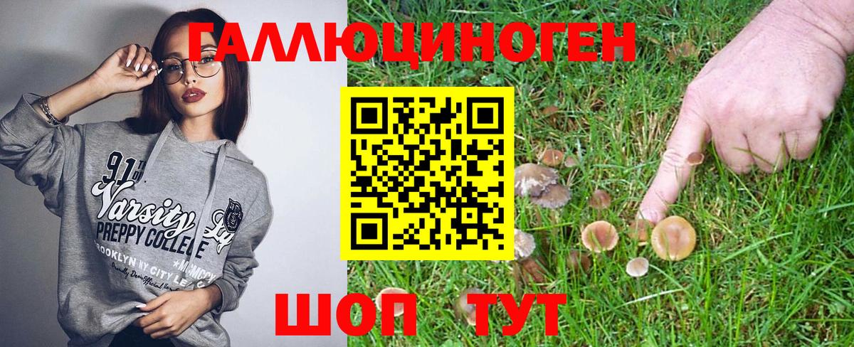 Галлюциногенные грибы Psilocybe  Вход с VPN  Краснознаменск 