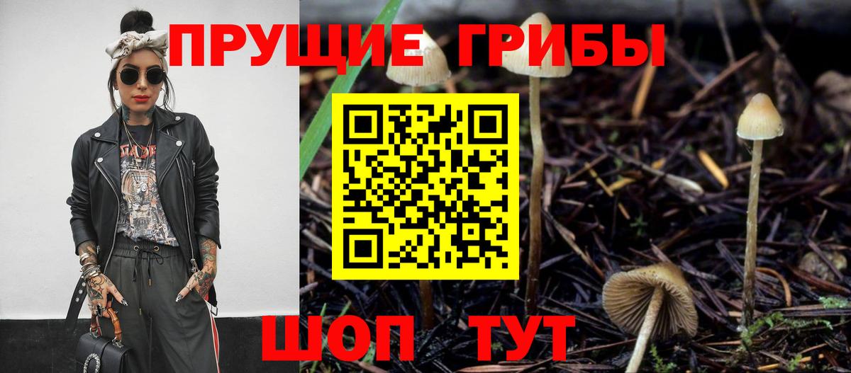Псилоцибиновые грибы мицелий Краснознаменск